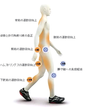 MBT 誕生秘話